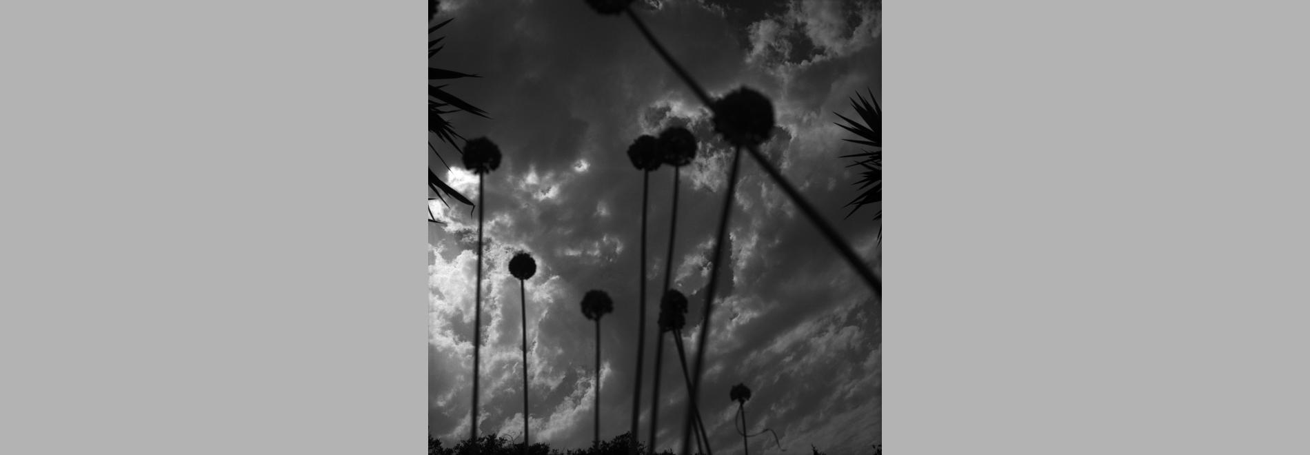 El paraíso de los creyentes