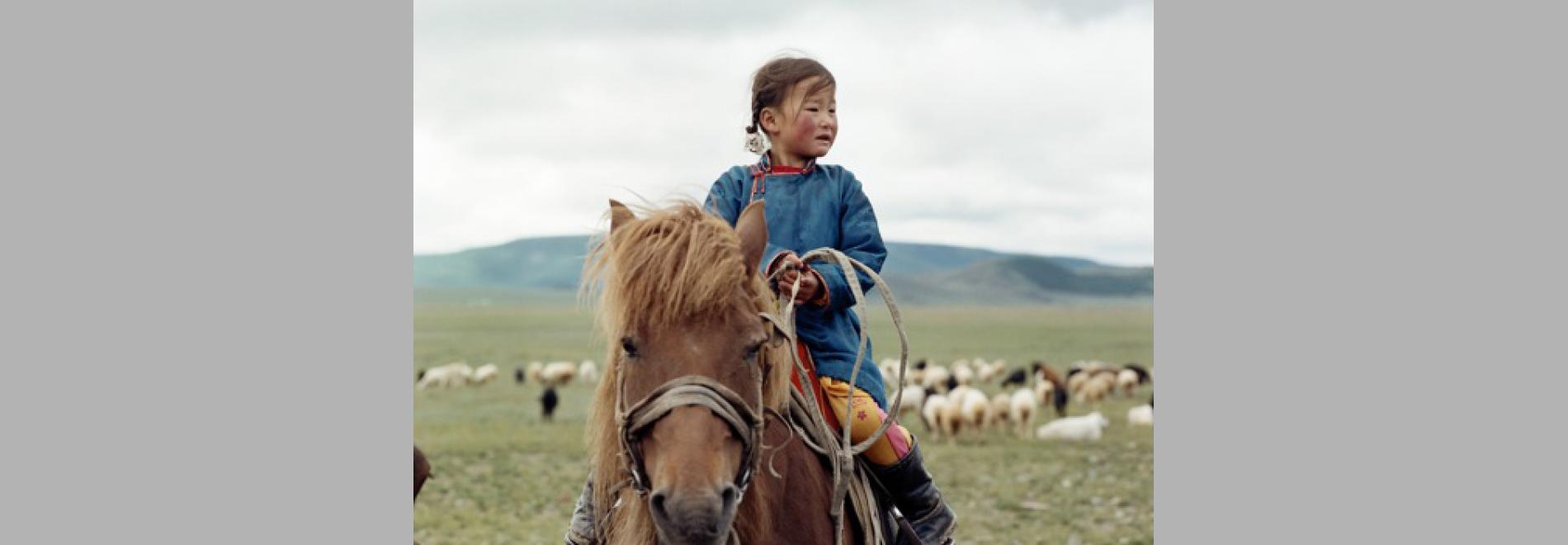 Die Höhle des gelben Hundes