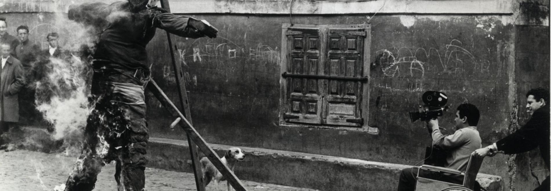 Jacinto Esteva, a l’ombra de l’últim arbre