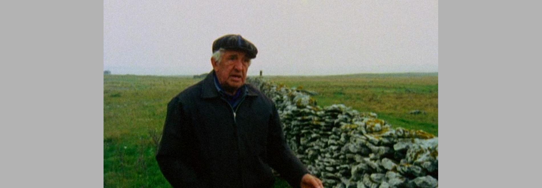 Fårödokument (Ingmar Bergman, 1970)