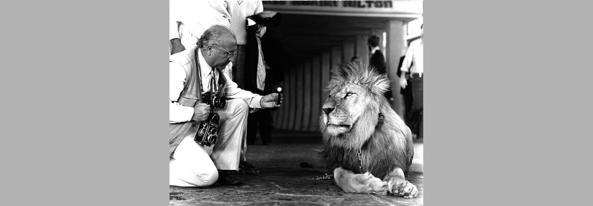 Prop de Hollywood. Fotografies de Claudi i Frederic Gómez Grau