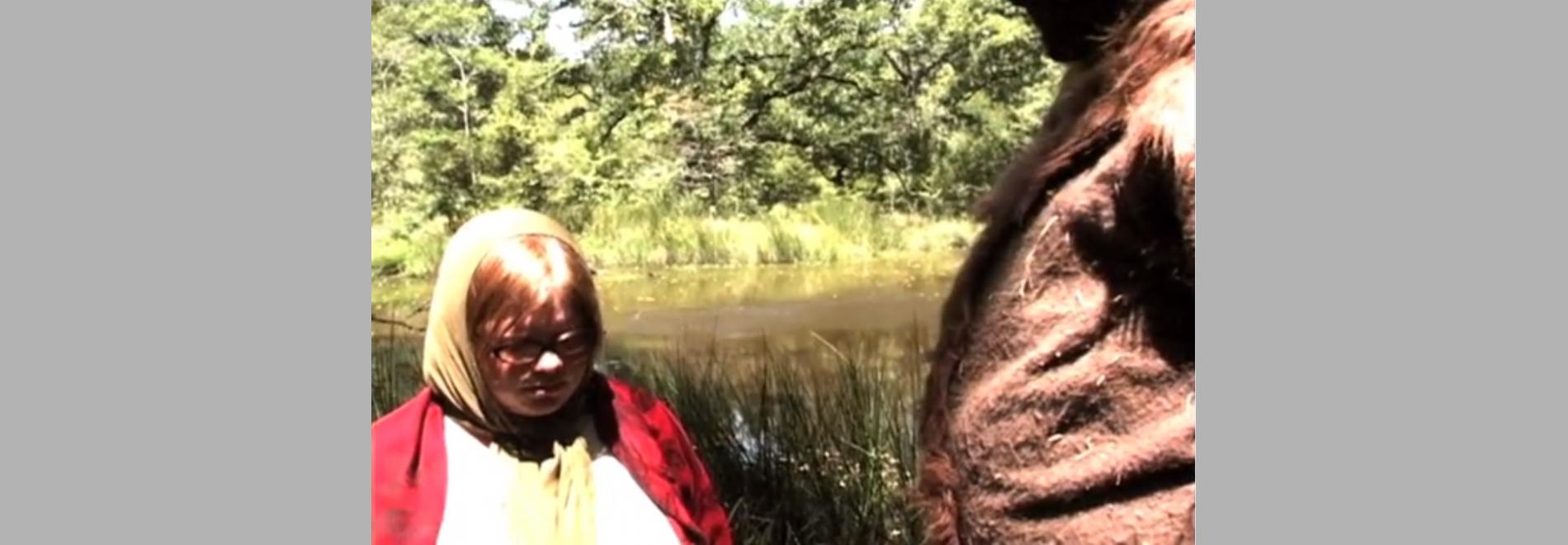 Frontier (David Zellner )