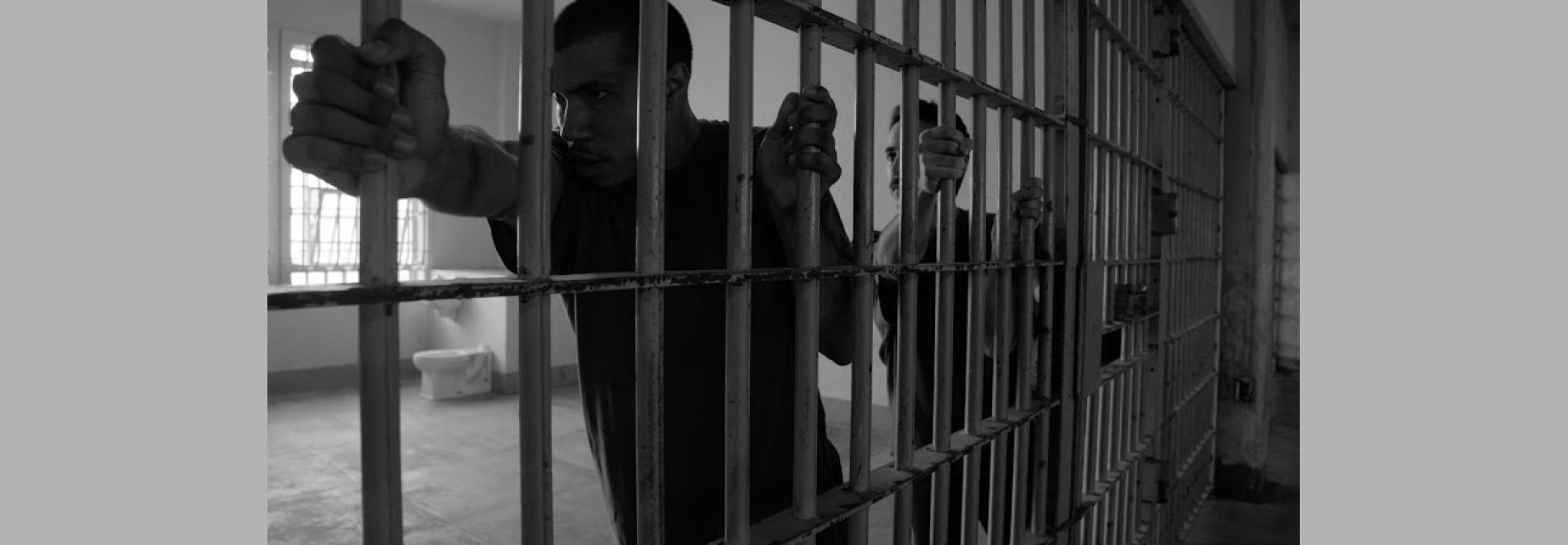 Guerra i pau (Selecció Oficial 3)