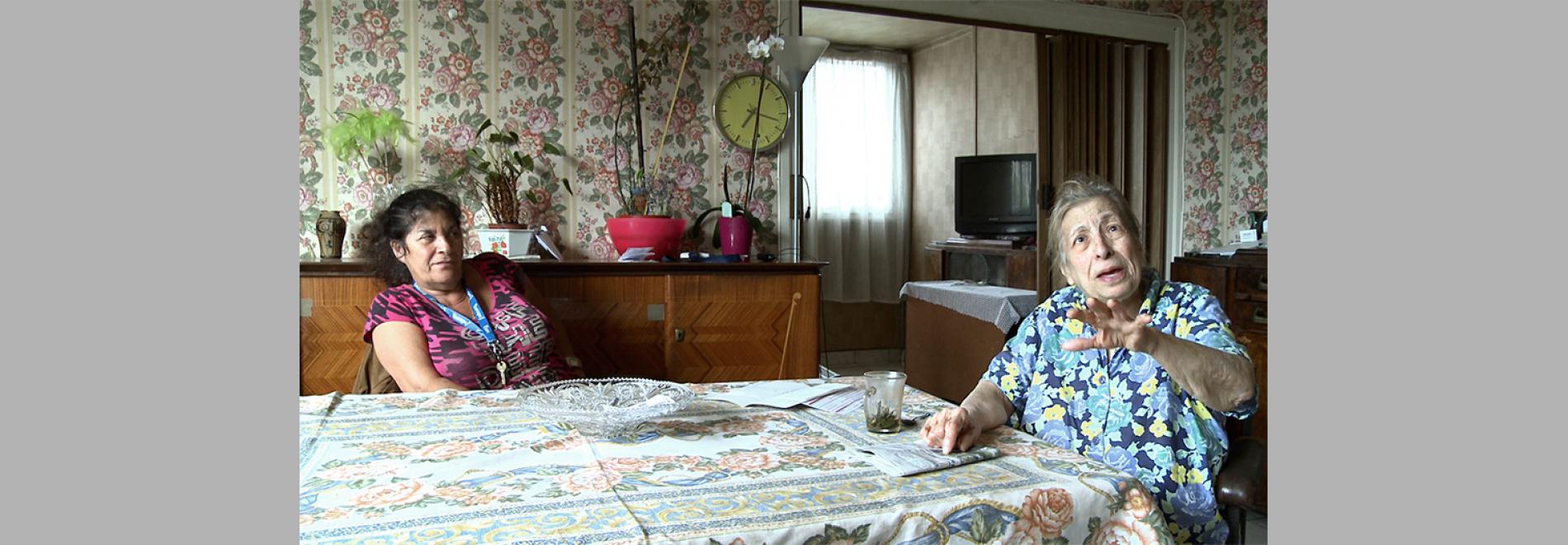 HLM, Habitations Légèrement Modifiées