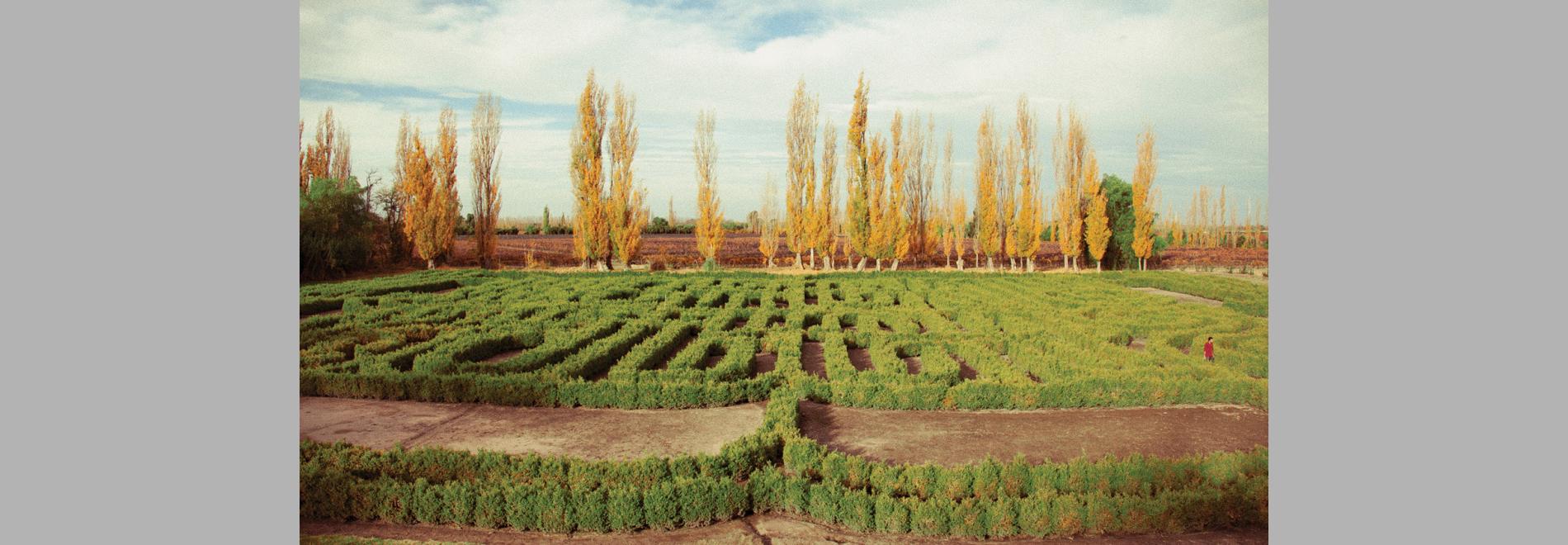 Paradís perdut. Cinema i jardí