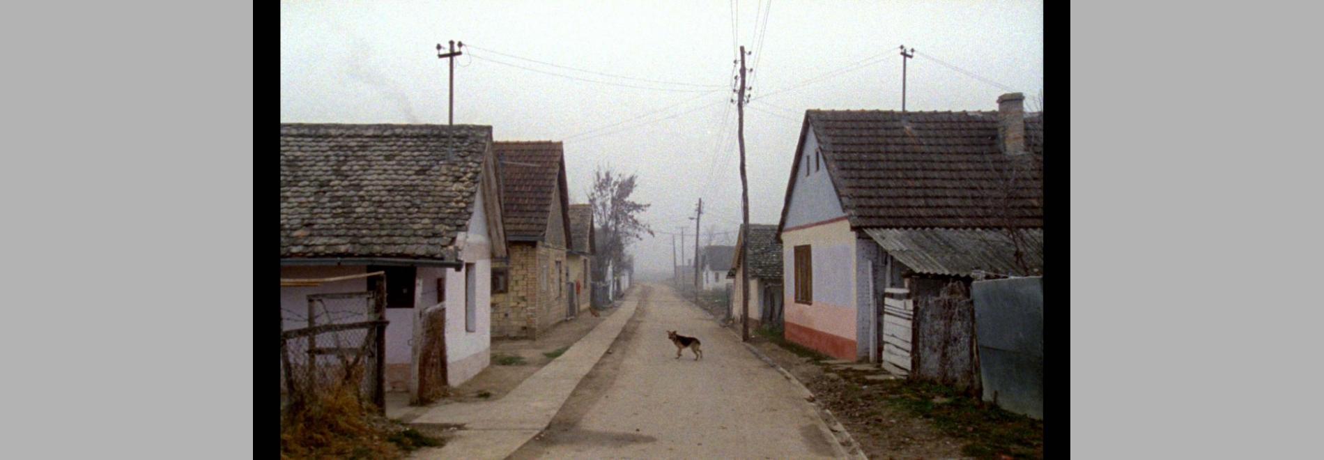 Karpopotnik (Matjaz Ivanisin, 2013)