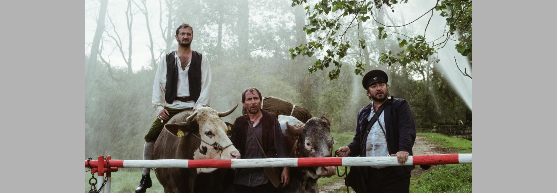 Kohlhaas oder die Verhältnismässigkeit der Mittel 