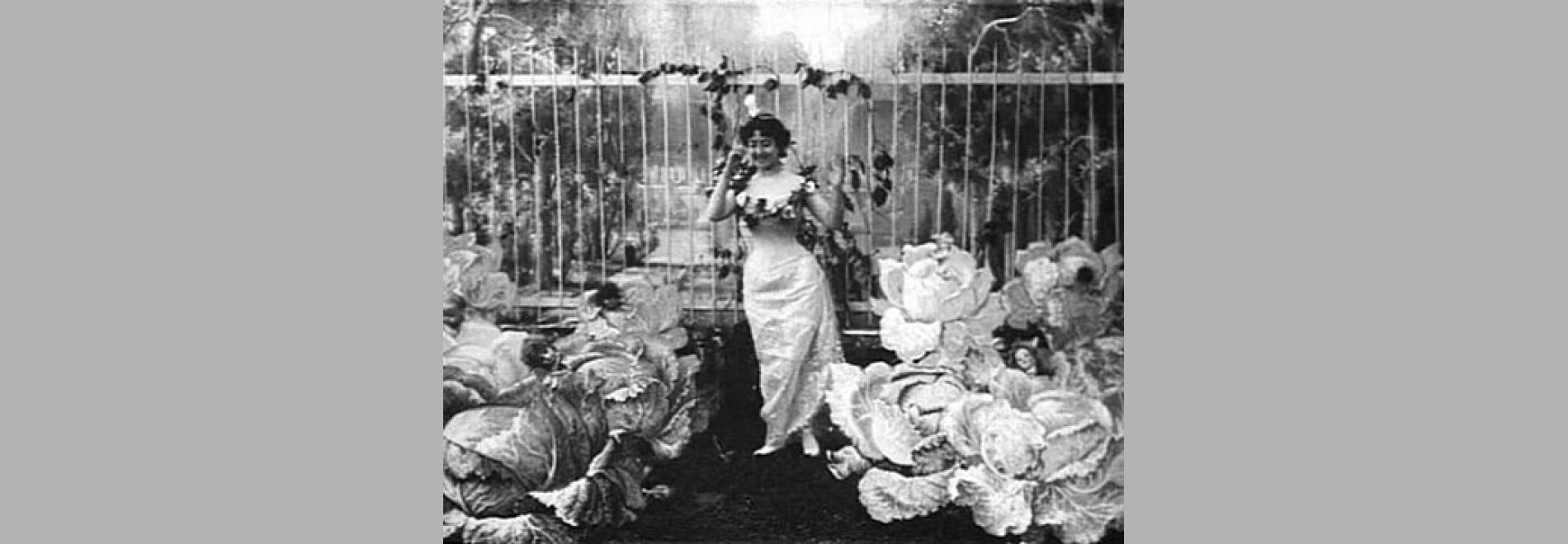 Curts Le Féé auc Choux