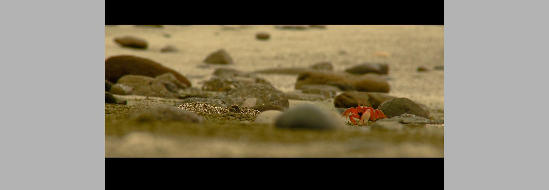 La Gorgona, historias fugadas