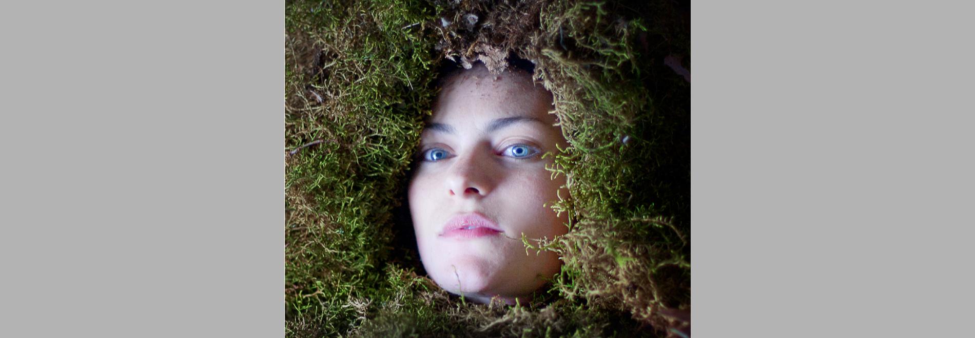 Premis Gaudí i Premis Goya 2014