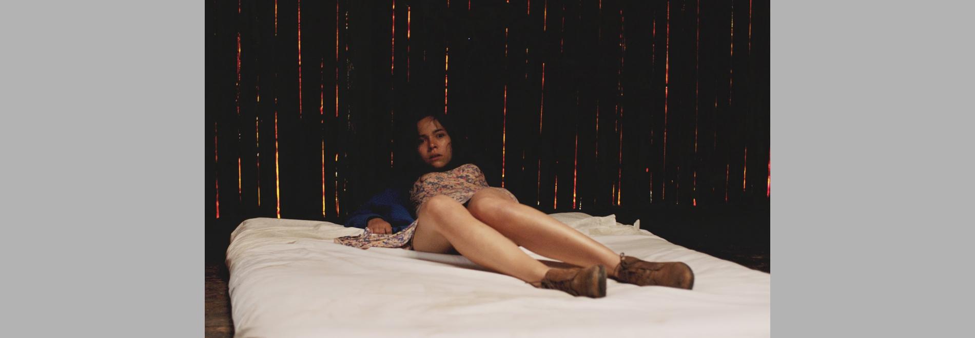 La región salvaje (Amat Escalante, 2016)