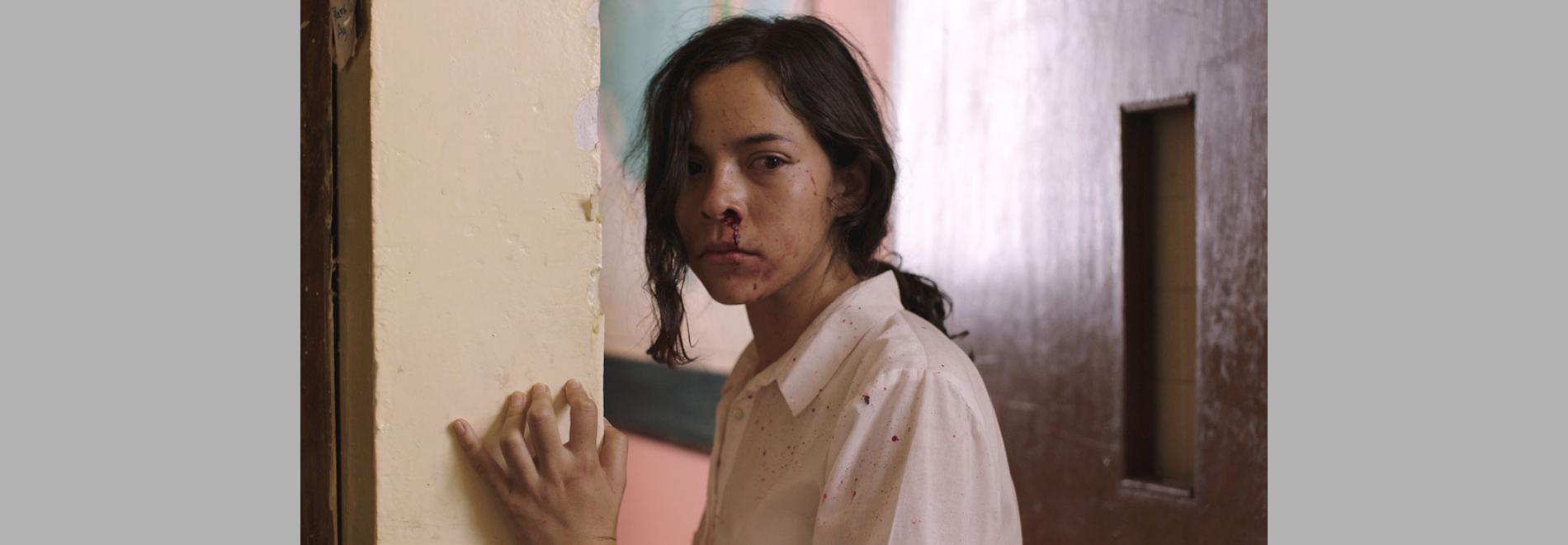 La región salvaje (Amat Escalante, 2016)