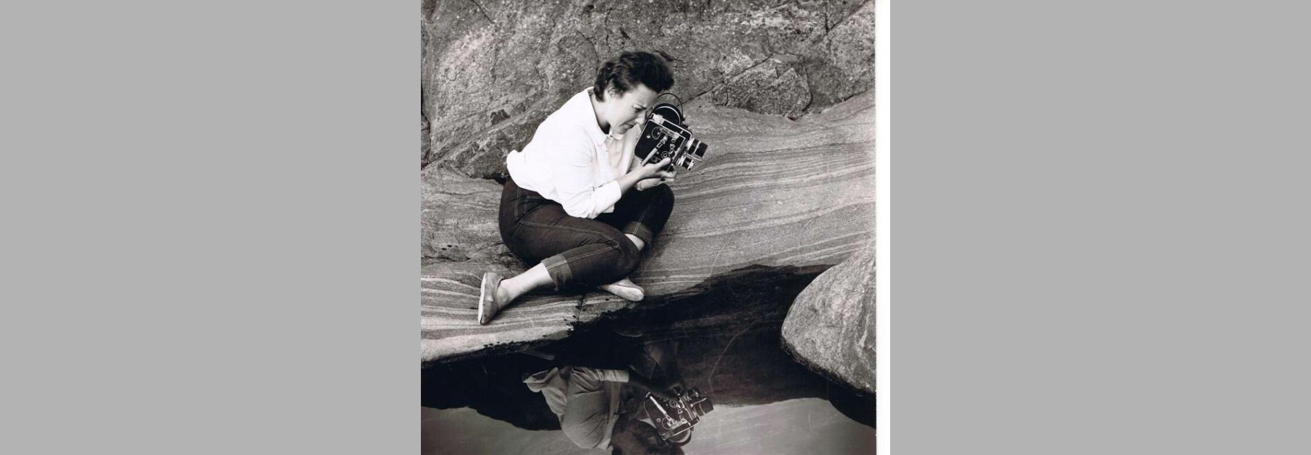 Lastuja - taiteilijasuvun vuosisata