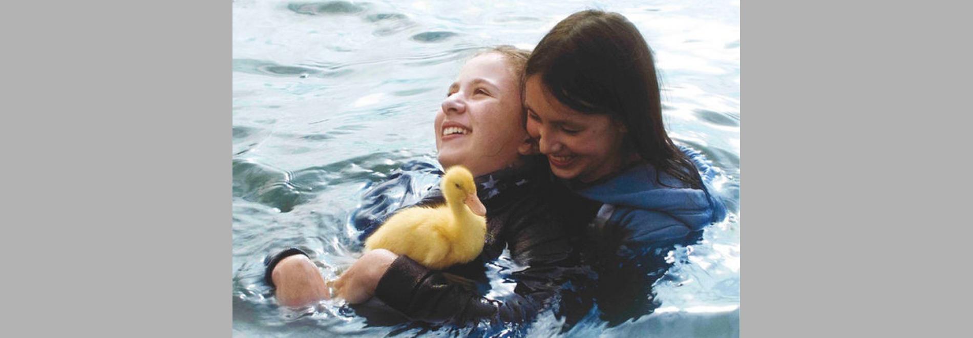 Les oiseaux de passage (Yves Ringer, Olivier Ringer, 2015)