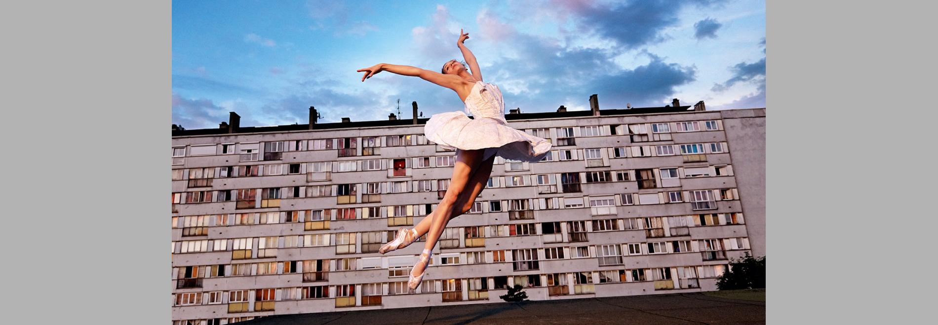 Les bosquets (JR, 2015)