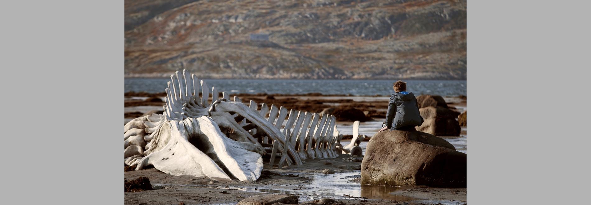 Leviafan (Andrei Zviagintsev, 2014)