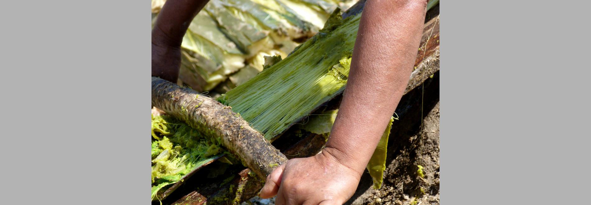 “Els rics van on volen, els pobres on poden”: la frontera