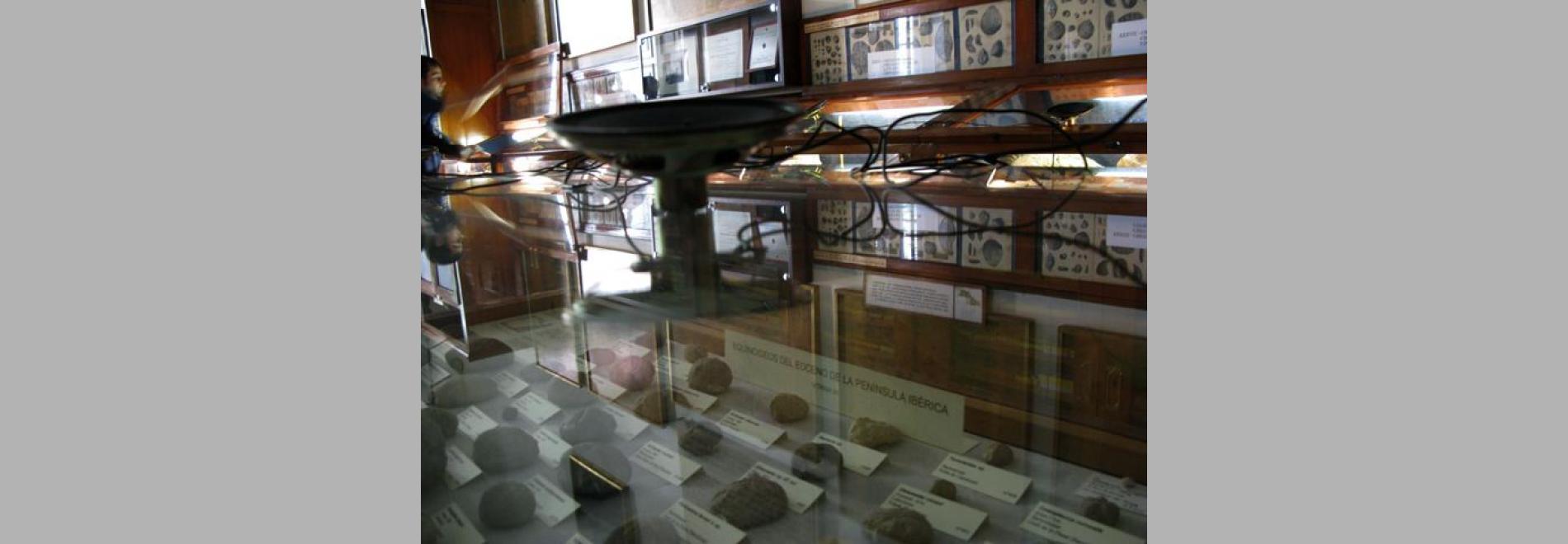 Lo jardí de les rahons perdudes