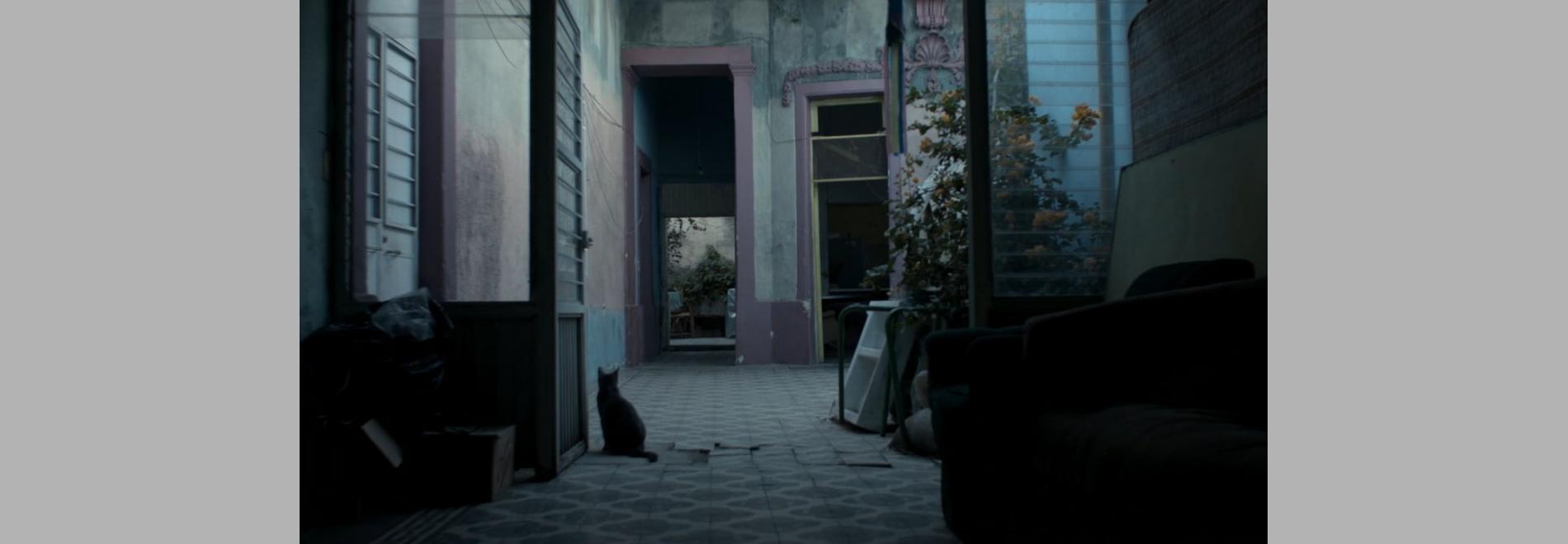 Los años azules (Sofía Gómez-Córdova, 2017)