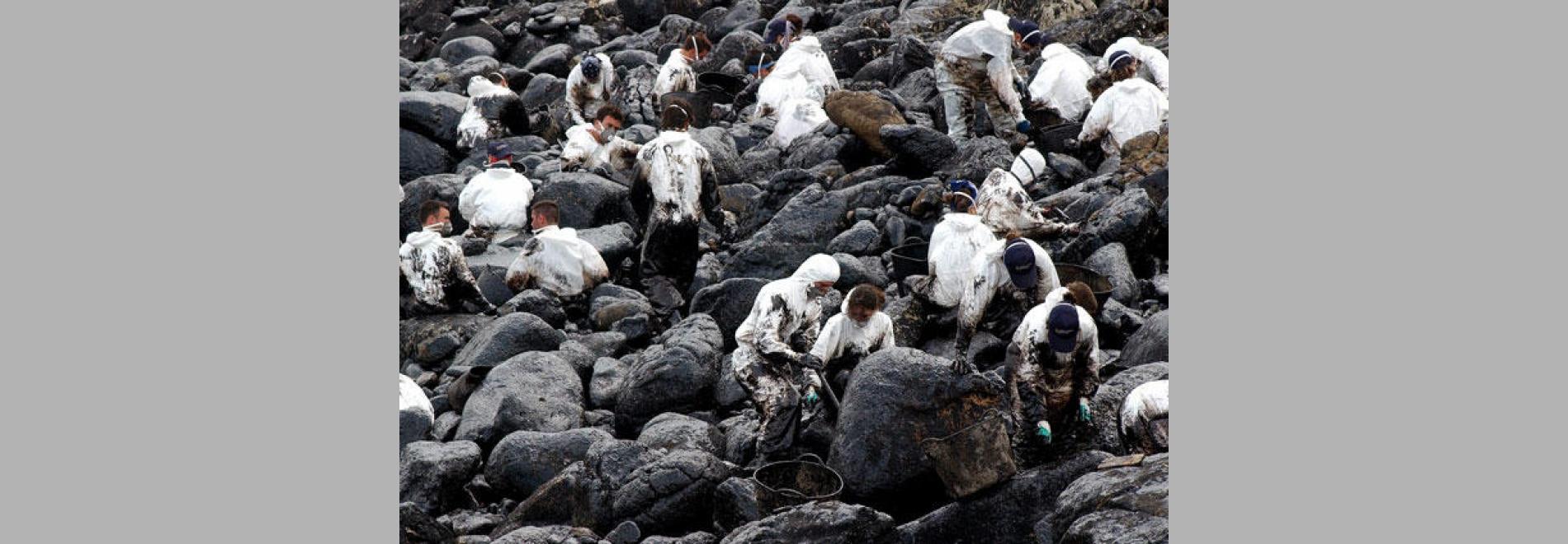 Marea blanca (Isabel Coixet, 2012)