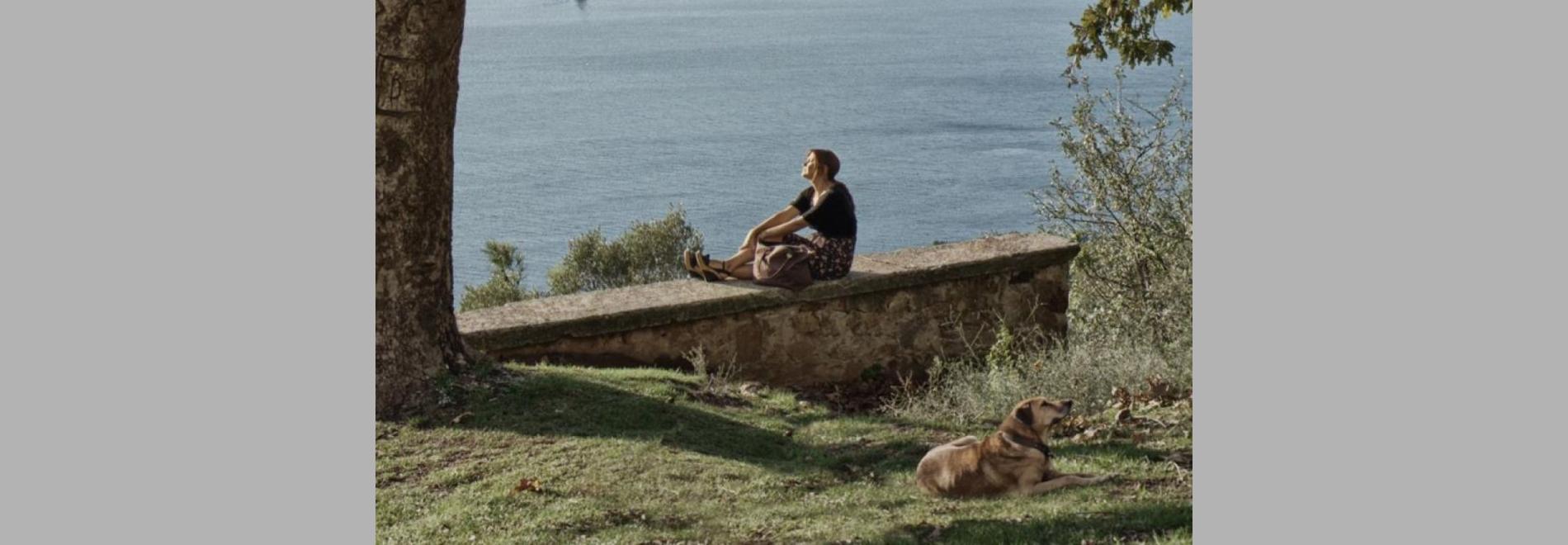 Misafir / El visitant (Mehmet Eryilmaz, 2015)