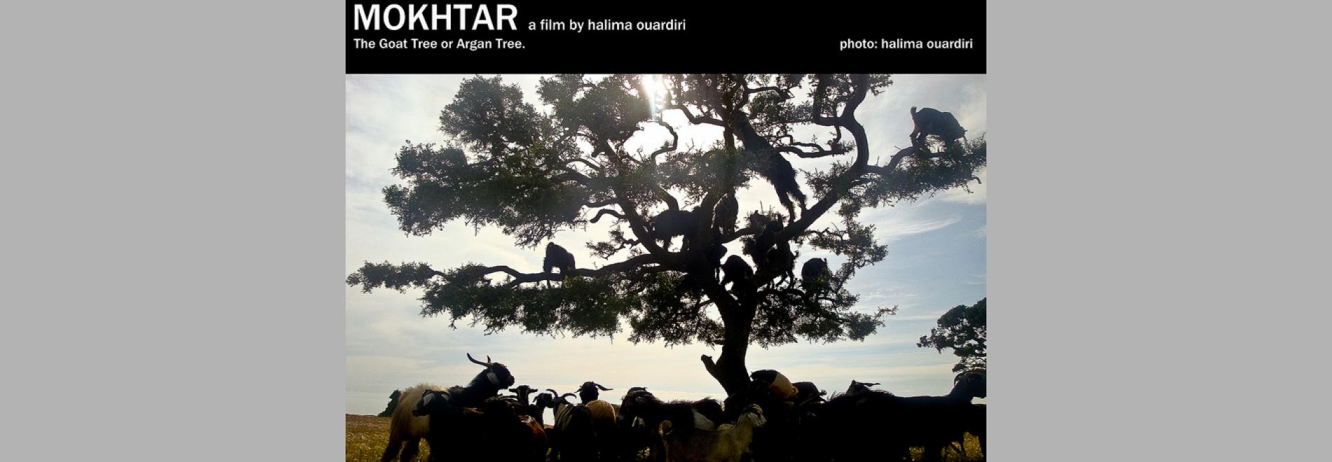 Després de Tànger: cinema marroquí i drets humans