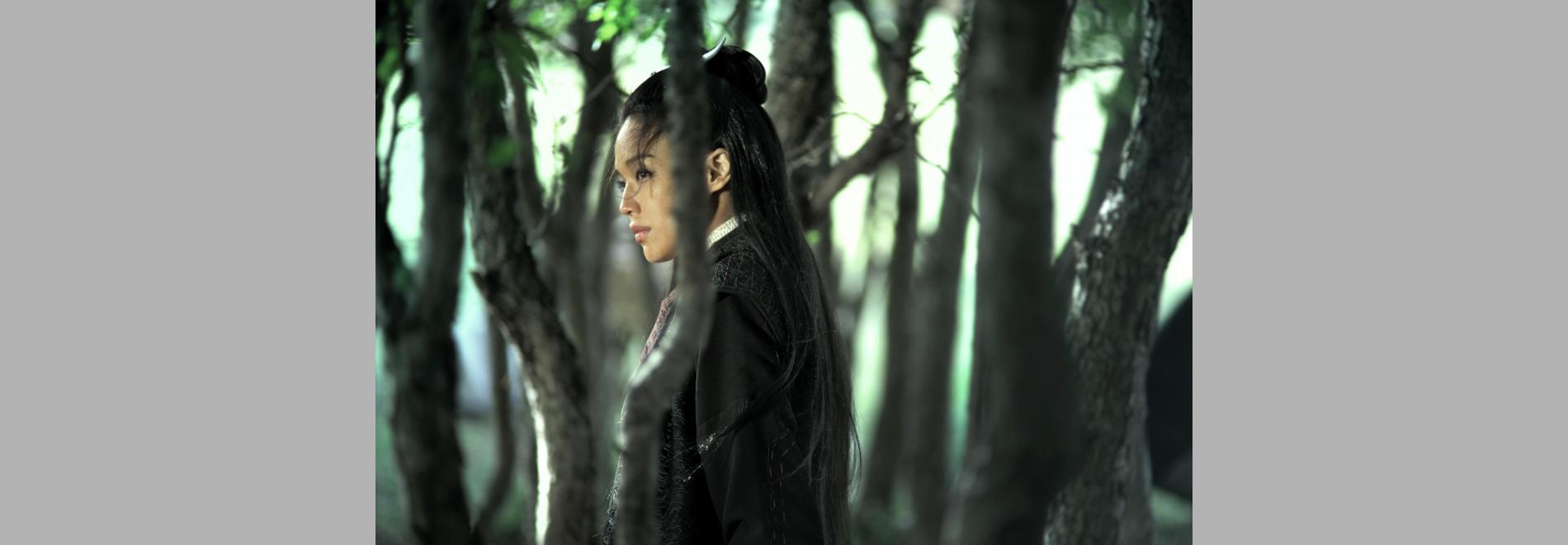 Nie yin niang / The Assassin (La asesina) (Hou Hsiao-hsien, 2015)
