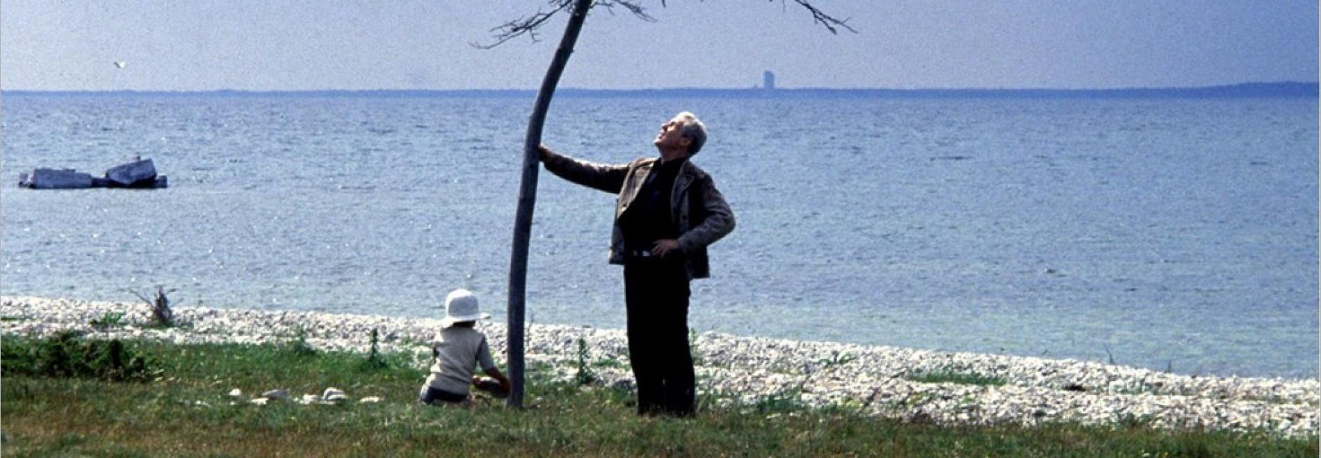 Offret (Andrei Tarkovski, 1985)