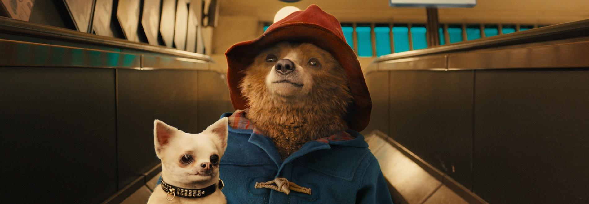 Paddington Bear (Paul King, 2014)