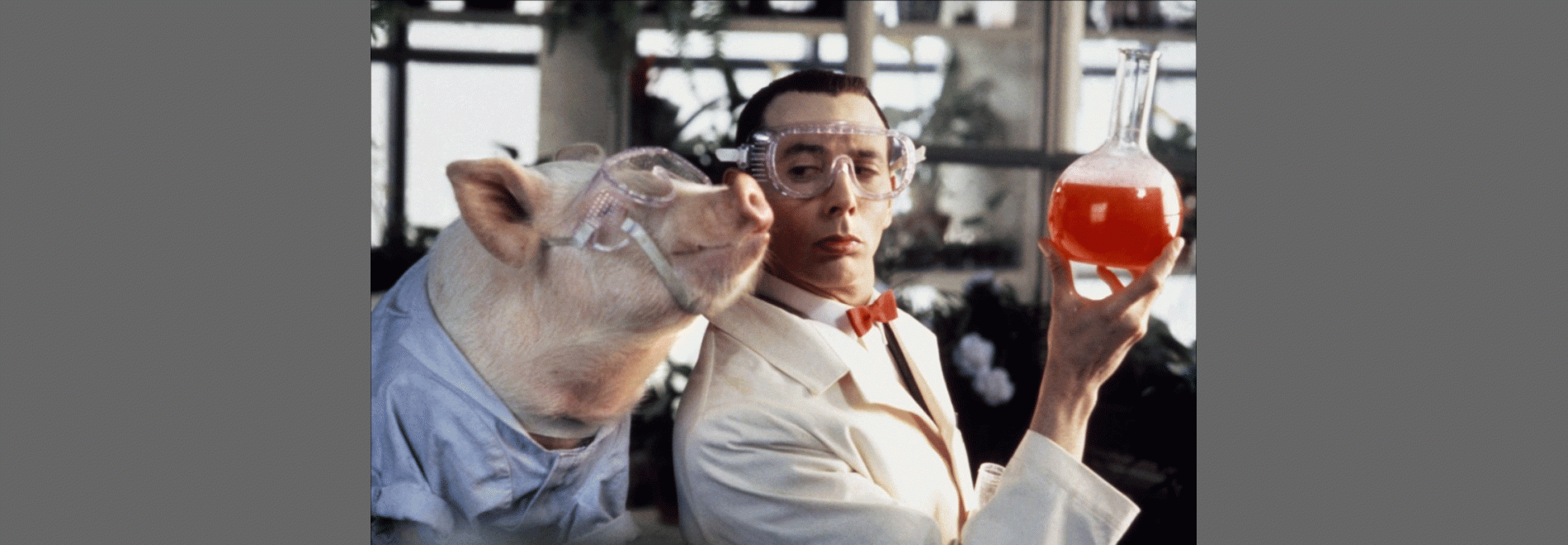 Pee-wee’s Big Adventure