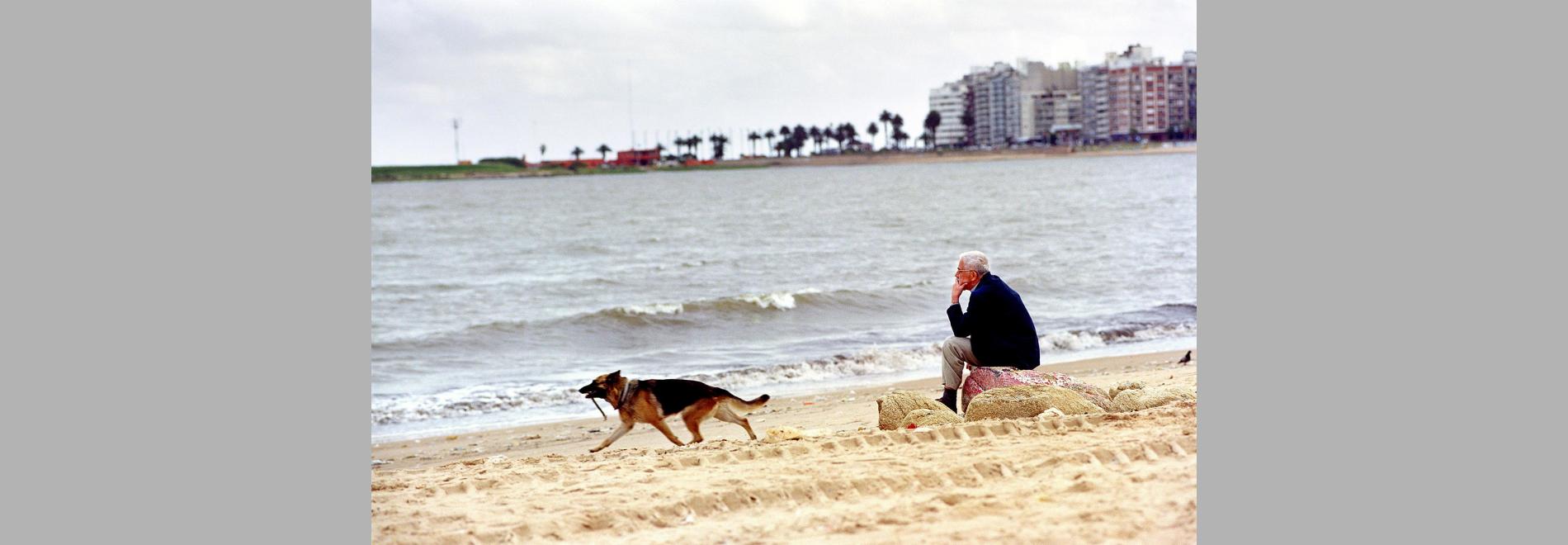 Persona non grata (Krzysztof Zanussi, 2005)