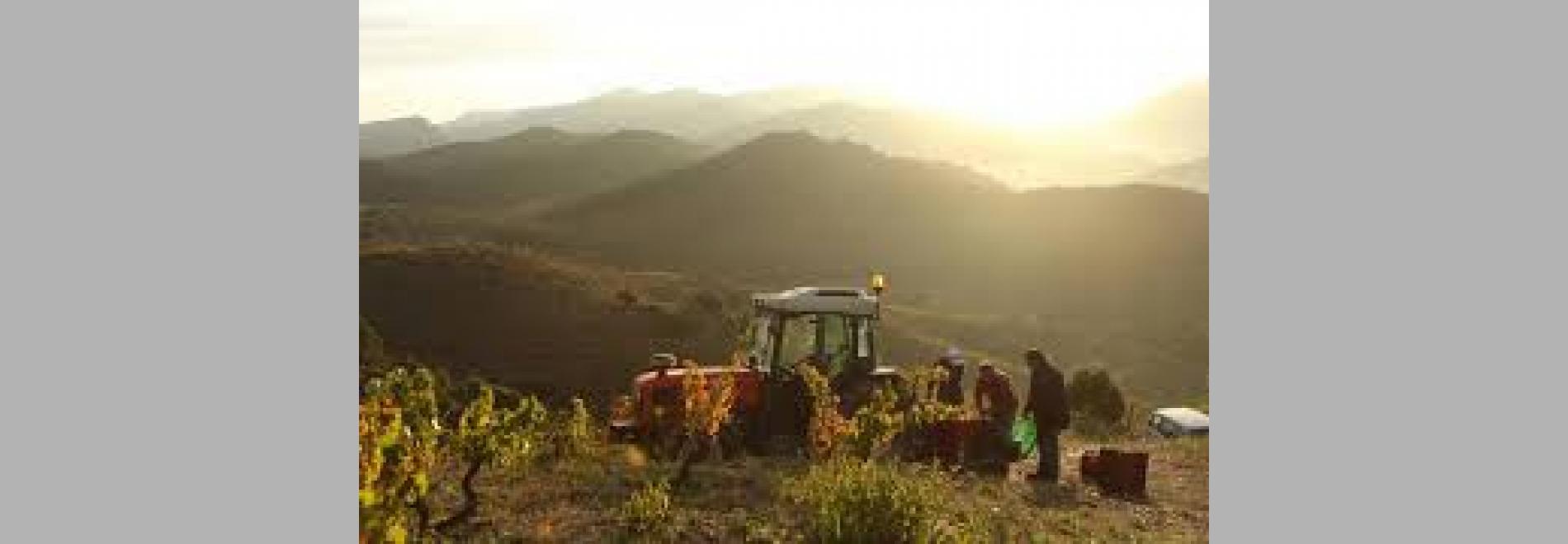 Priorat (David Fernández de Castro, 2015)