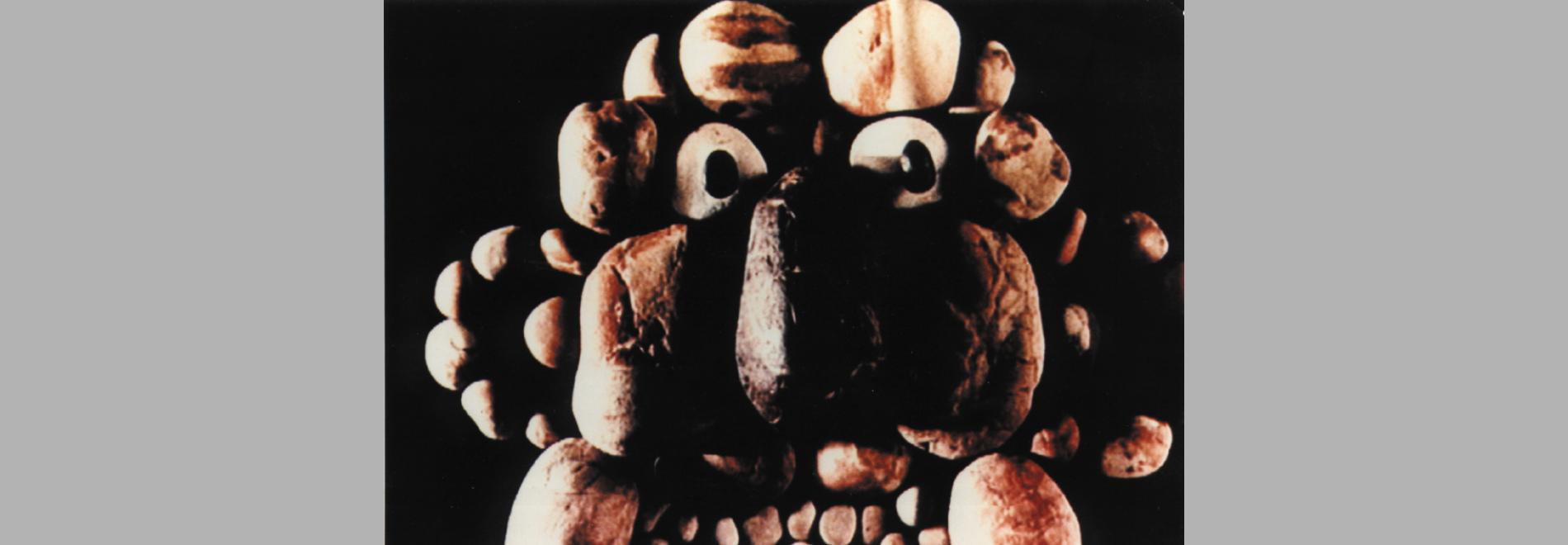 Programa curts 1 Svankmajer