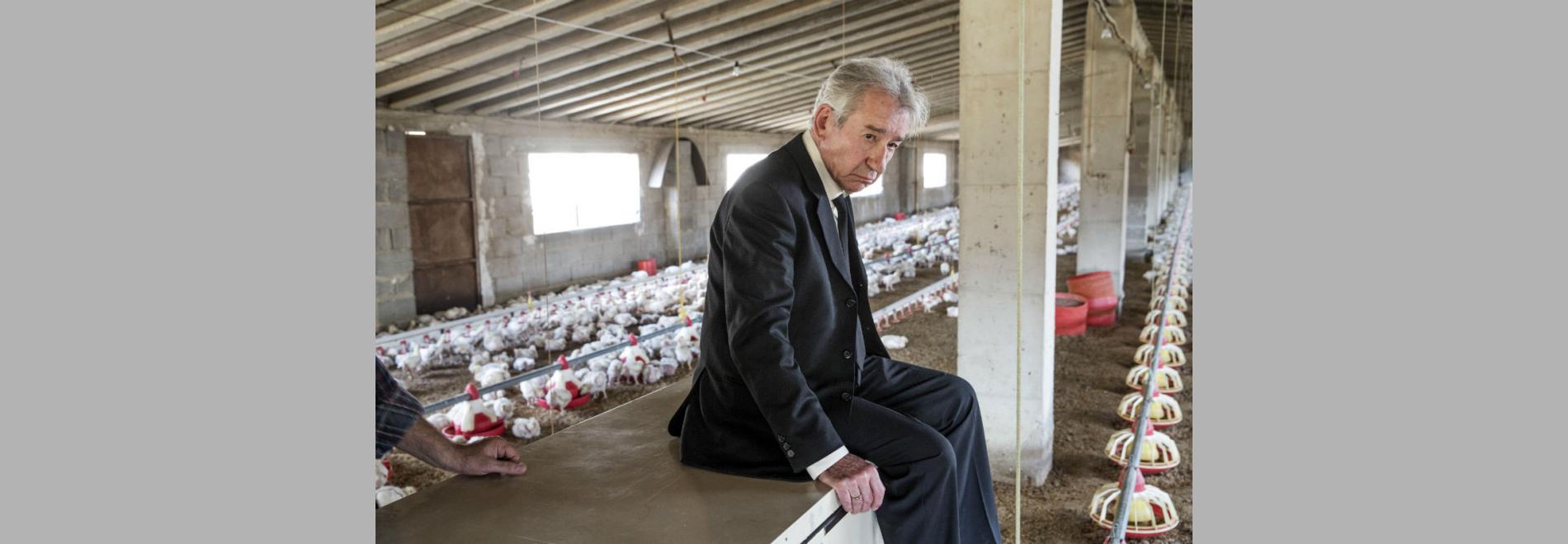 Quatretondeta (Pol Rodríguez, 2016)