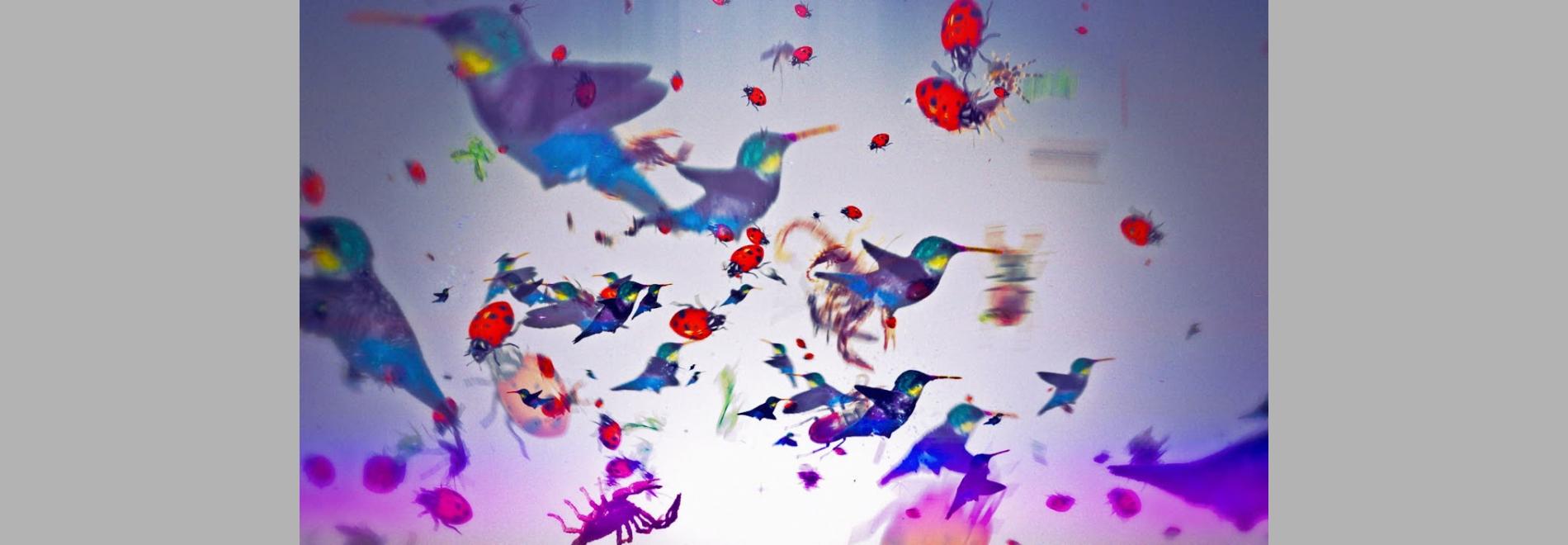 Rainfall - My Panda Shall Fly