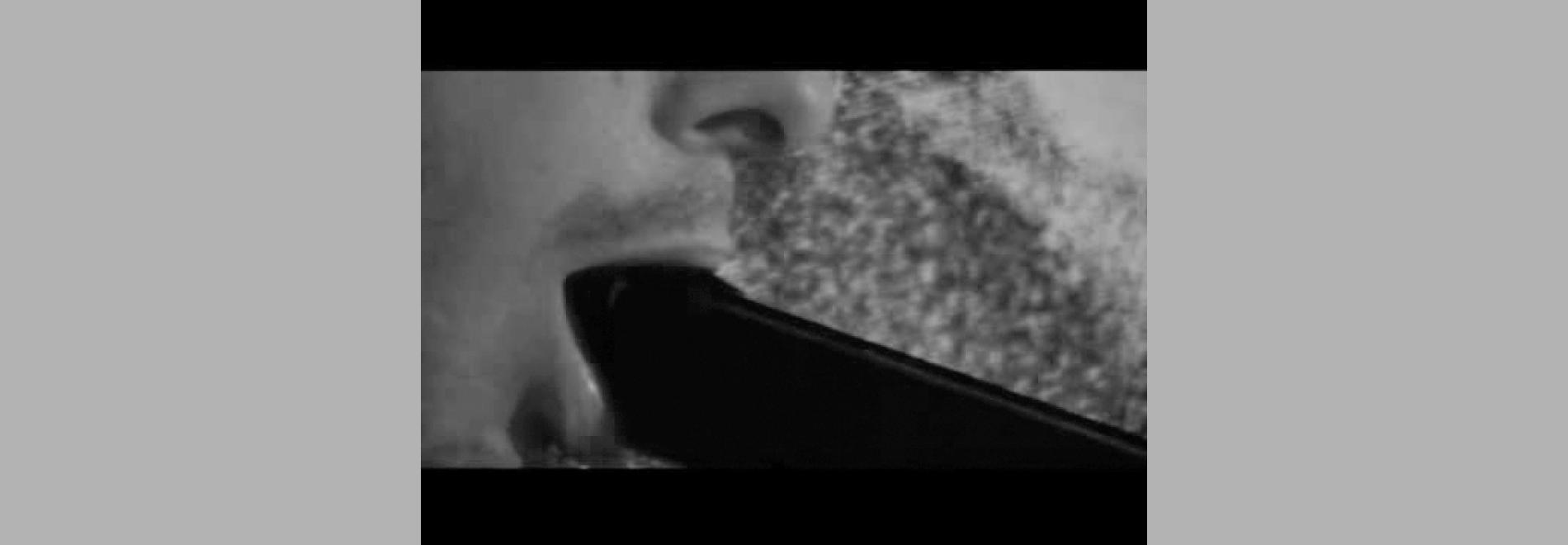 The Raspberry Reich GR