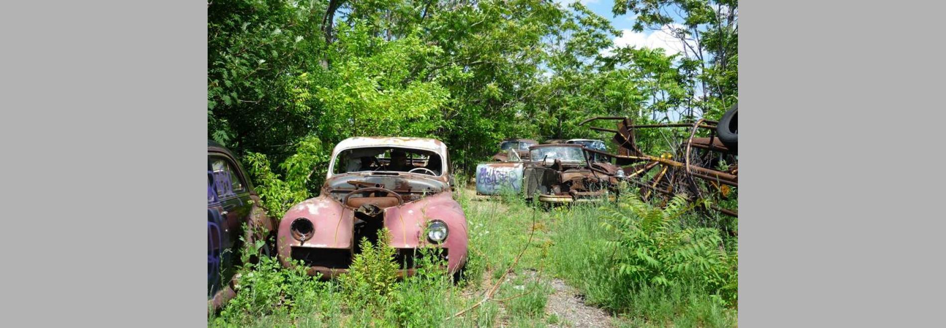 Julian Temple, britànic, anarquista i músic 