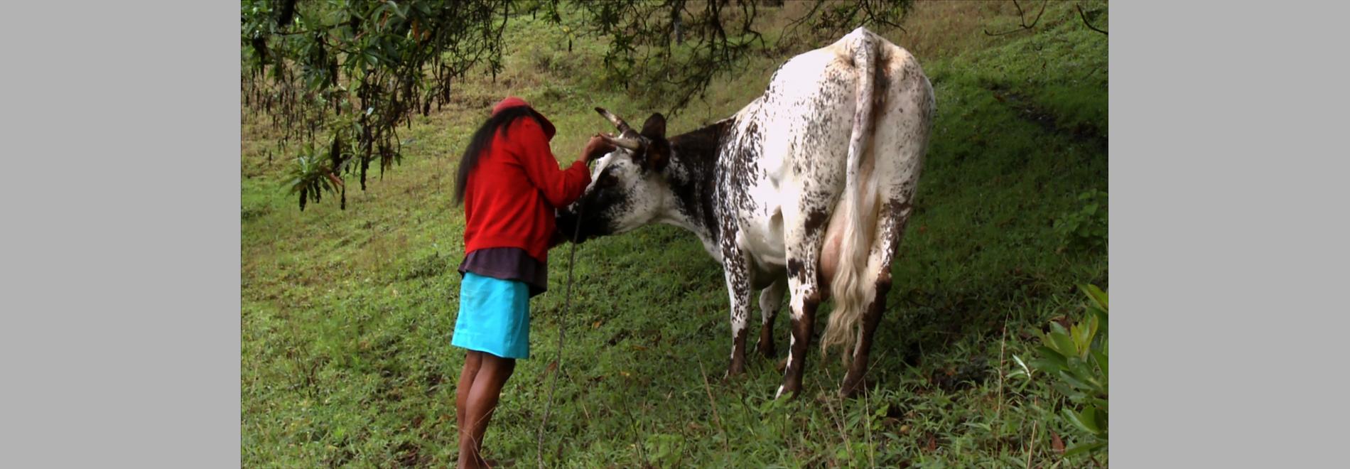 Señorita María, la falda de la montaña (Rubén Mendoza, 2017)