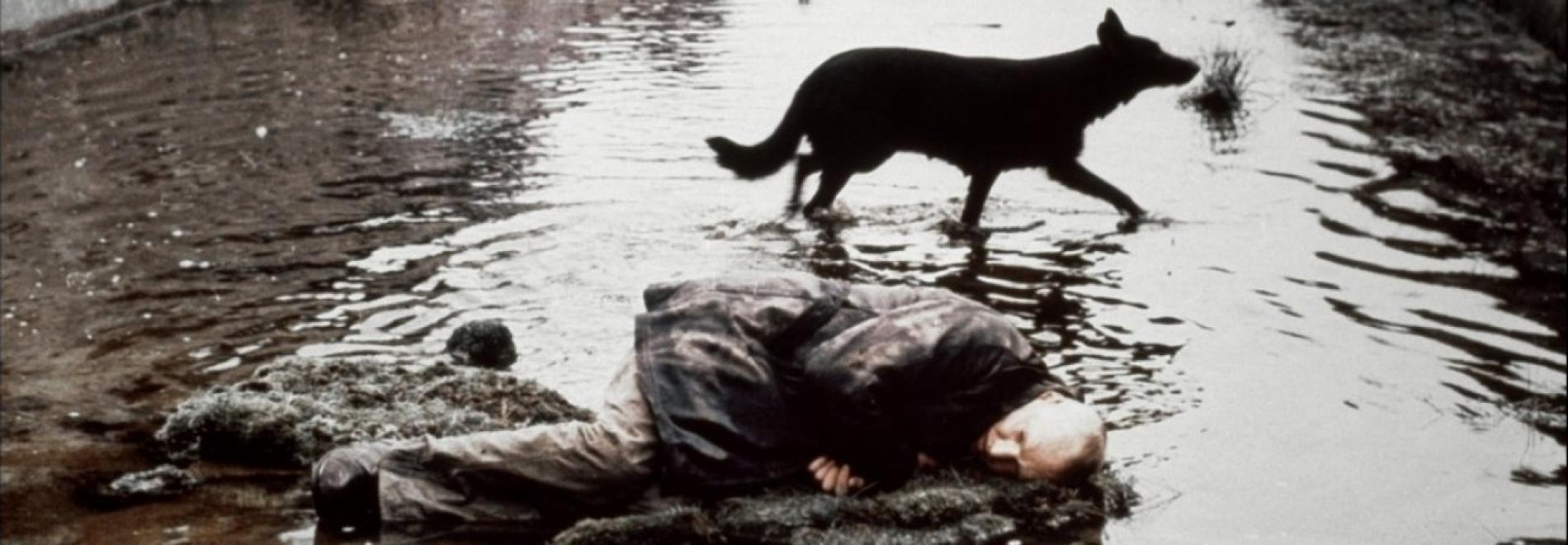 Stalker (Andrei Tarkovski, 1979)