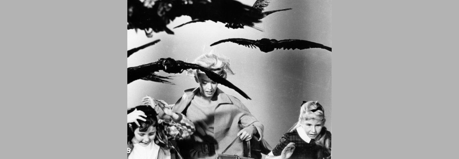 The Birds (Alfred Hitchcock, 1963)