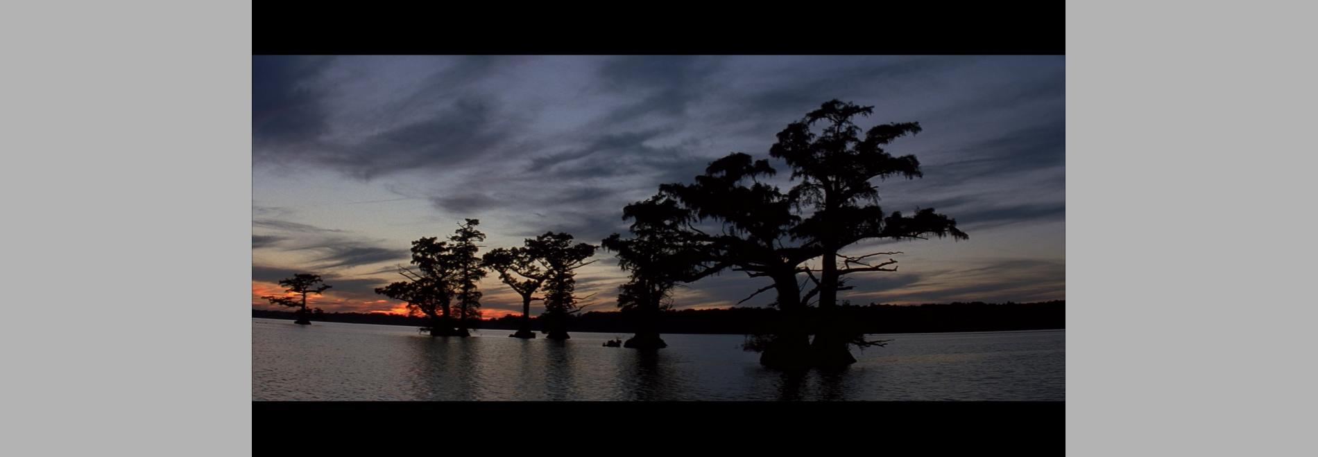 The New World (Terrence Malick, 2005)