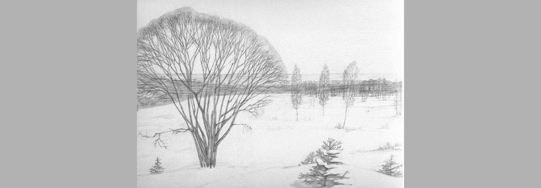 The Role of a Lifetime (Deimantas Narkevicius, 2003)