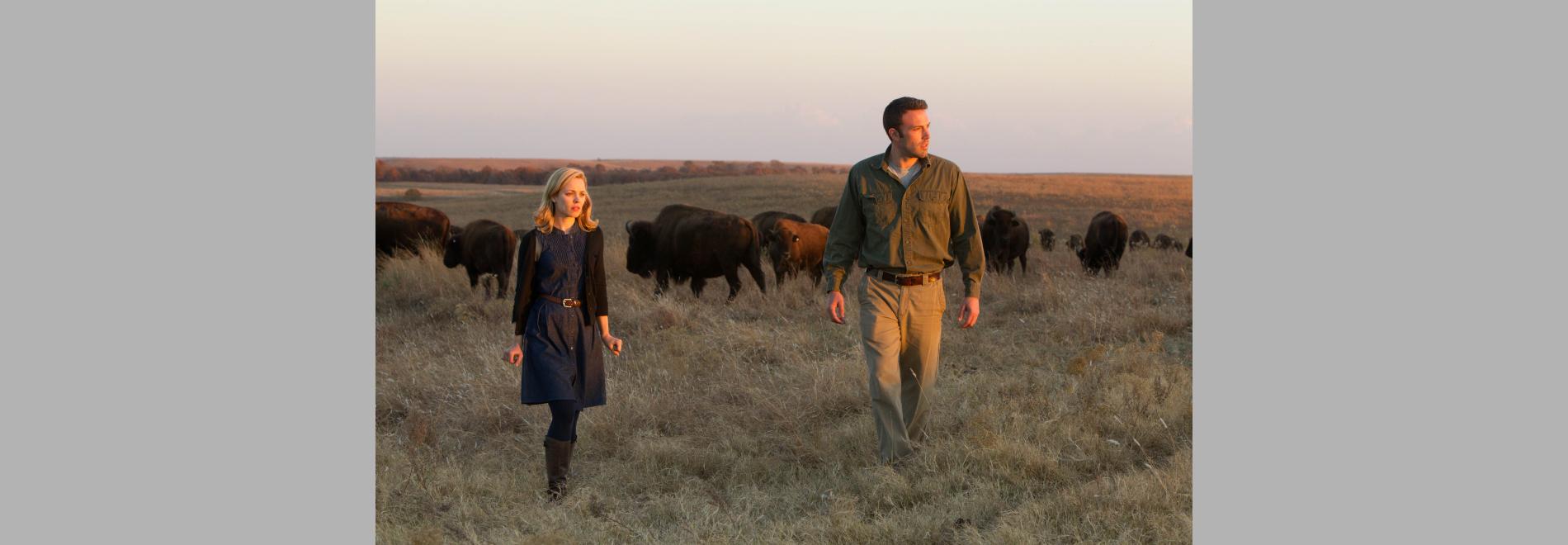 To the Wonder (Terrence Malick, 2012)