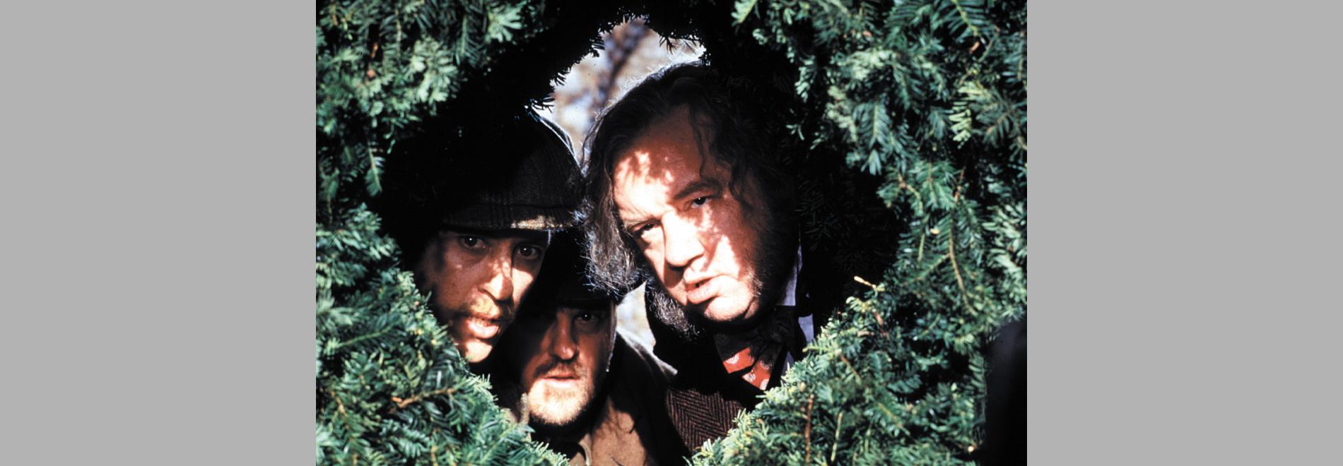 Twelfth Night or What You Will  (Trevor Nunn, 1996)