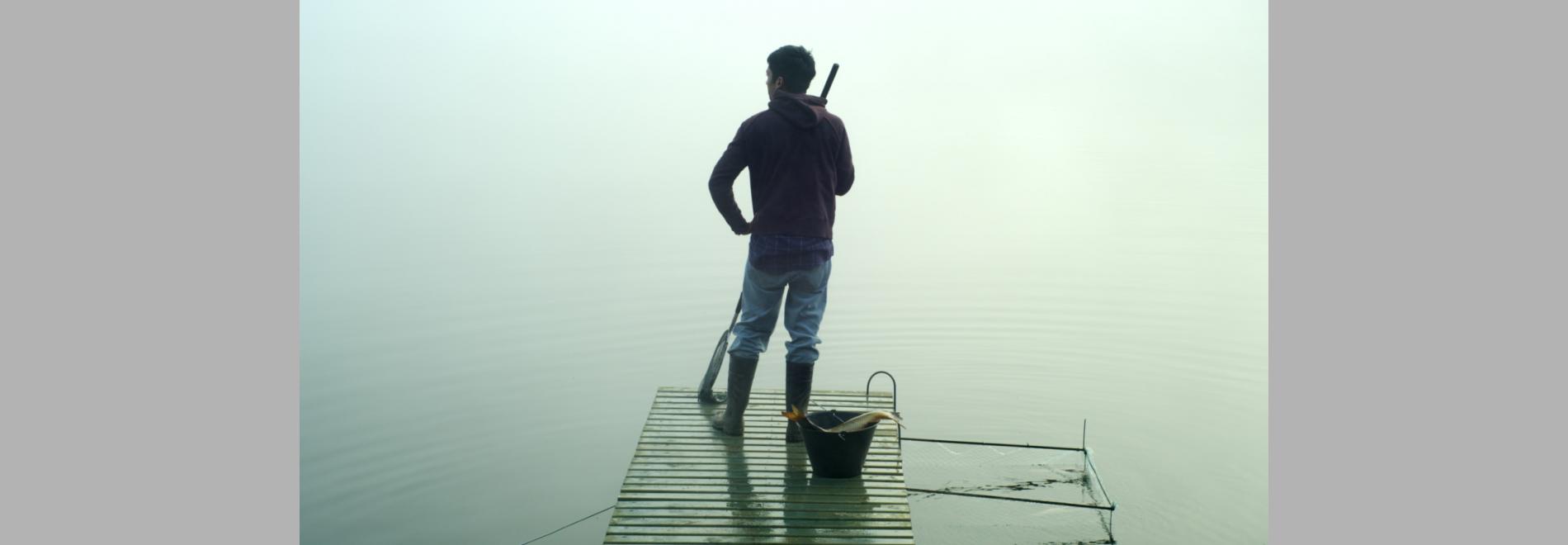 El verano de los peces voladores