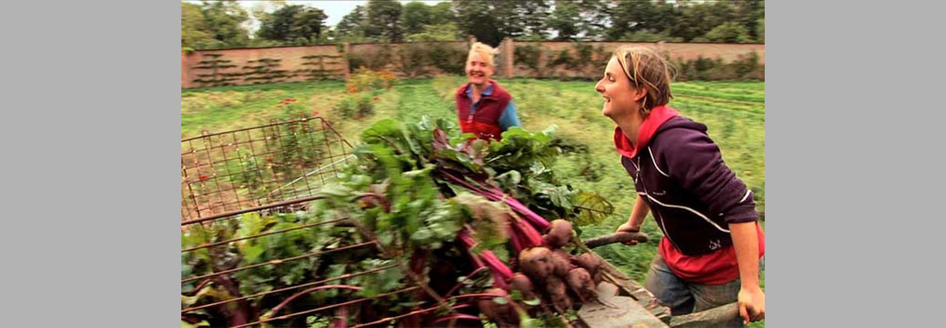 Voices of Transition (Nils Aguilar, 2012)