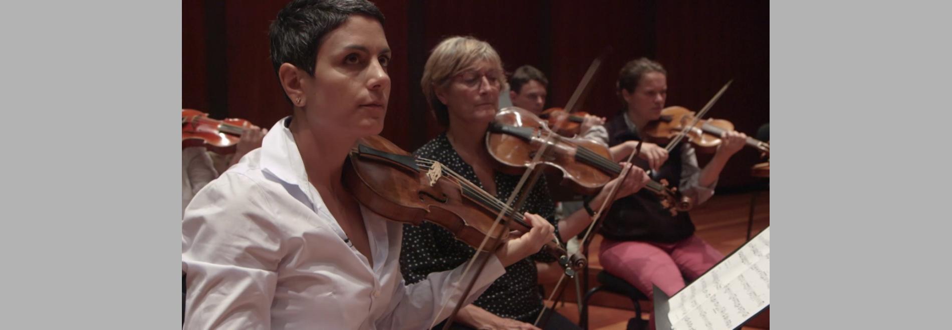 Vues d’ensemble (Samuel Grandchamp, 2016)