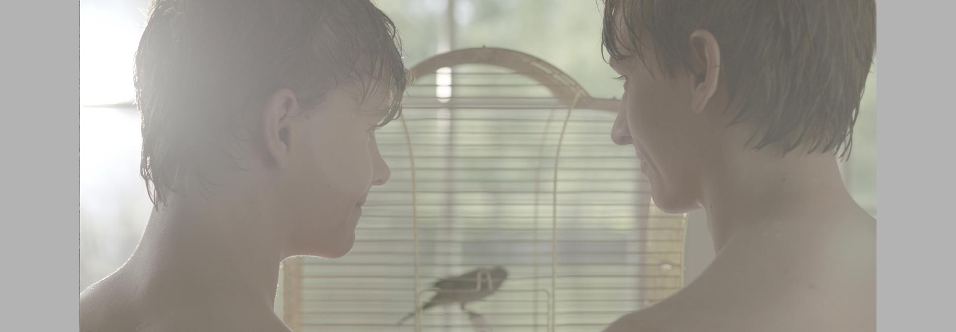 Sessió de curtmetratges 1