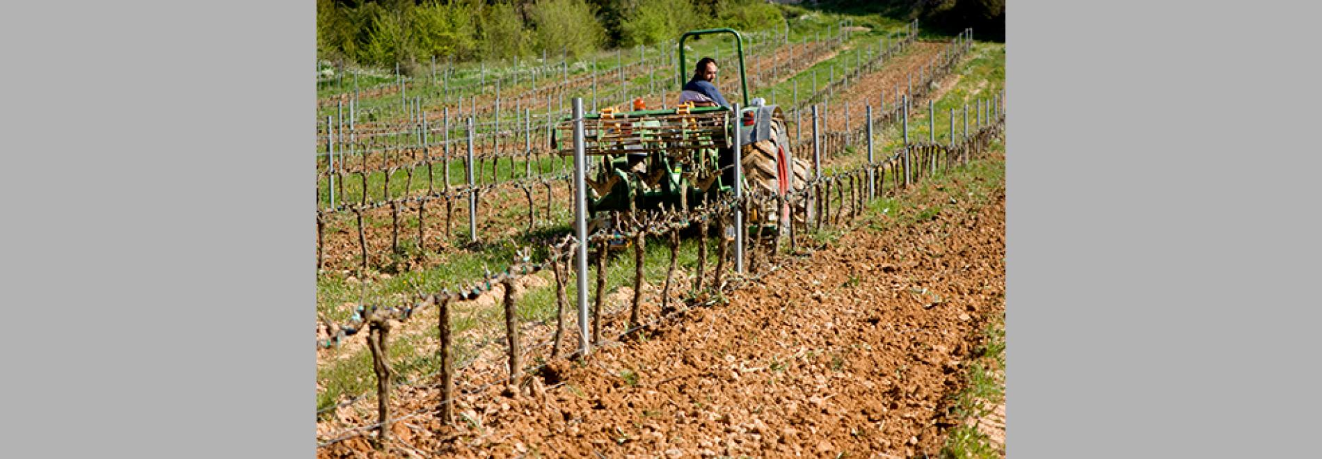 Terra d'oportunitats