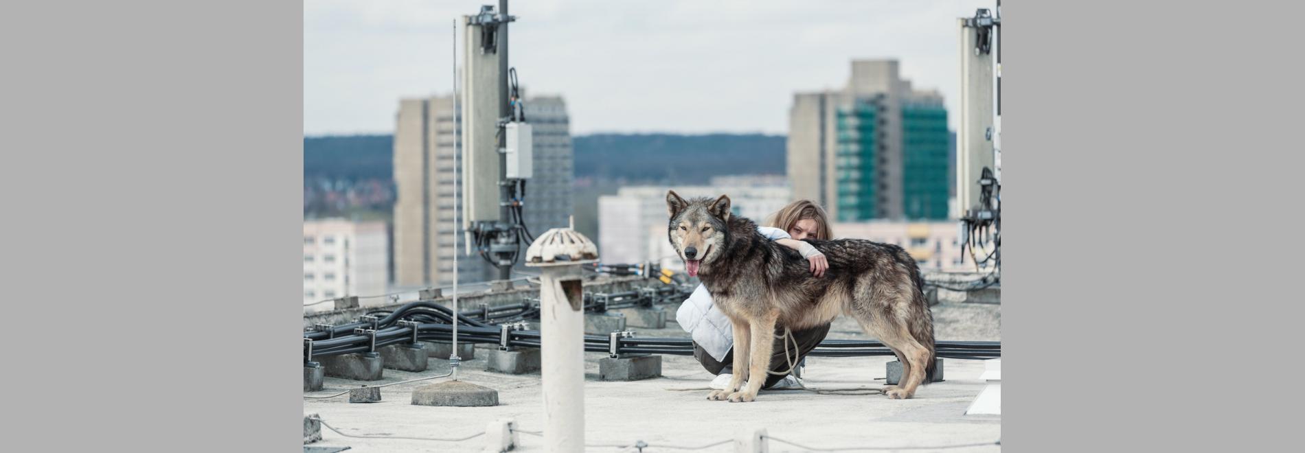 Wild (Nicolette Krebitz, 2016)